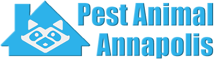 Annapolis Wildlife and Animal Removal